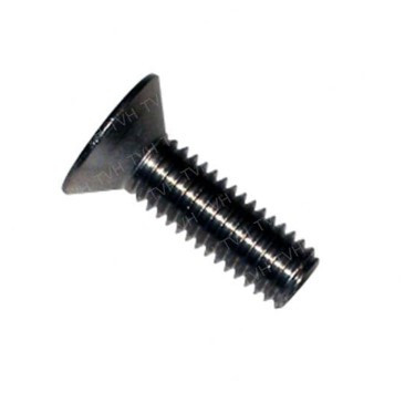 CR812893003  Screw Torx Head Socket