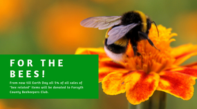 Save The Bee's 