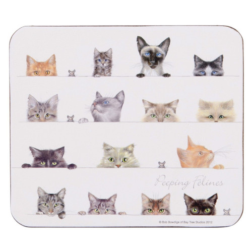 Ashdene Peeping Felines Collection - Coaster Set (AD 518912)
