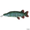 Steel Dog Denim Fish Dog Toy
