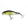 Molix Shaman Popper Lure