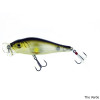 Molix Shaman Popper Lure