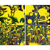 12025-4 - 4pk art, glow