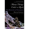 Many Things Under a Rock: The Mysteries of Octopuses by David Scheel