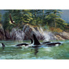 Cobble Hill Jigsaw Puzzle - Orcas