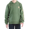 Carhartt Children's Graphic Hoodie