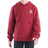 Carhartt Children's Graphic Hoodie