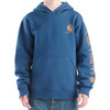 Carhartt Children's Graphic Hoodie
