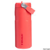 Stanley IceFlow 16 oz. Insulated Bottle w/ Flip Straw Lid Stanley IceFlow 16 oz. Insulated Bottle w/ Flip Straw Lid