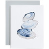 CST-CSL009 - Clam Shells