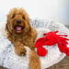 Tall Tails Crunch Lobster Plush Dog Toy