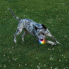 Nite Ize GlowStreak Disc-O Rechargeable LED Ball Dog Toy