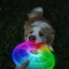 Nite Ize Flashflight Dog Discuit LED Flying Disc Dog Toy
