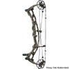 Hoyt Carbon RX-10 Compound Bow