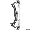 Hoyt Carbon RX-10 Compound Bow
