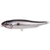0000456134 - Spotlight Shad