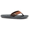 Reef Men's Santa Ana Flip Flop Sandal