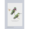 National Geographic Birder's Life List and Journal