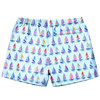 Limeapple Boy's Dylan Sailboat Print Board Short