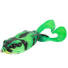 Poison Dart Frog