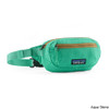 Patagonia Terravia 1 Liter Mini Hip Pack