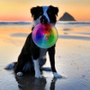 Nite Ize Flashflight Dog Discuit LED Flying Disc Dog Toy