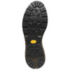 Danner Men's Mountain 600 EVO Hiking Boot