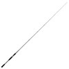 Jigging World Raze Casting Rod