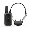 Garmin Delta SE Dog Training Bundle