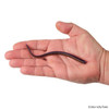 Berkley Lab Series Finesse Worm Lure - 10 Pk.