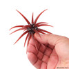 Berkley PowerBait MaxScent 'Moeba Lure