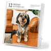 Model# 523533336 - November 12 page