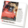 Model# 523533862 - February 4 page
