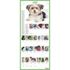 Model# 523533879 - February pages