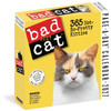 Model# 523534517 - box front