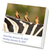 Model# 523533350 - January 30/31 page