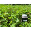 Domain Outdoor Clutch Clover Food Plot Seed