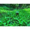 Domain Outdoor No BS Food Plot Seed