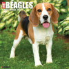 Model# 59104 - front cover