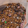 Whitetail Products Trail Mix Bear Bait