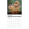 Model# 61374 - January pages
