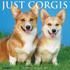 Model# 59852 - front cover