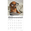 Model# 59951 - January pages
