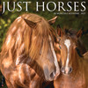 Model# 60704 - front cover