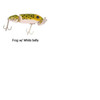 Arbogast Jointed Jitterbug Lure