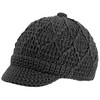 Pistil Designs Women's Jax Knit Brim Beanie Pistil Designs Women's Jax Knit Brim Beanie