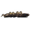 Avian-X Topflight Black Duck Decoys - 6 Pack Avian-X Topflight Black Duck Decoys - 6 Pack