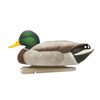 Avian-X Topflight Fusion Mallard Decoys - 6 Pack Avian-X Topflight Fusion Mallard Decoys - 6 Pack
