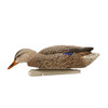 Avian-X Topflight Fusion Mallard Decoys - 6 Pack Avian-X Topflight Fusion Mallard Decoys - 6 Pack