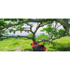 ENO Helios Ultralight Tree-Friendly Suspension System